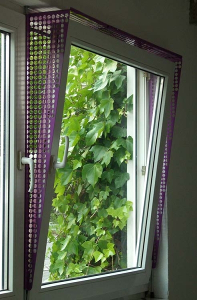 System 6 in Sonderfarbe